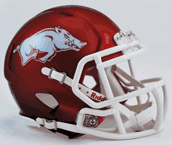 Arkansas Razorbacks