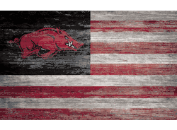Arkansas Razorbacks Distressed Flag 11x19