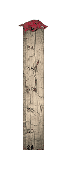 Arkansas Razorbacks Growth Chart Sign 6x36