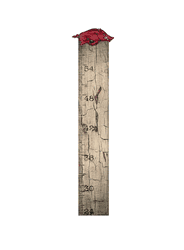 Arkansas Razorbacks Growth Chart Sign 6x36