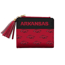 Arkansas Razorbacks Mini Organizer