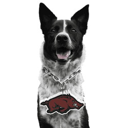 Arkansas Razorbacks Pet Fan Chain