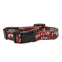 Arkansas Razorbacks Pet Team Collar Small