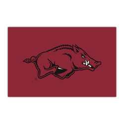Arkansas Razorbacks Razorbacks HiDef Rookie Mat - 18in. X 30in.