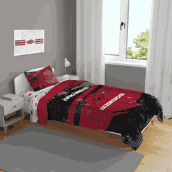 Arkansas Razorbacks Slanted Stripe 4 PC Twin Bed in a Bag
