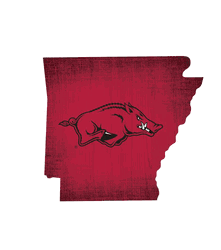 Arkansas Razorbacks Team Color Logo State Sign