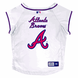 Atlanta Braves Big Pet Stretch Jersey