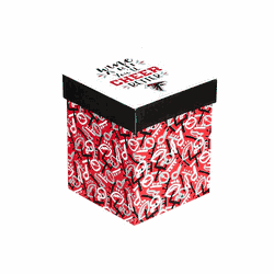 Atlanta Falcons Glass 17oz Wine Stemless Boxed