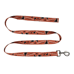 Atlanta Falcons Pet Team Lead 1in x 60in