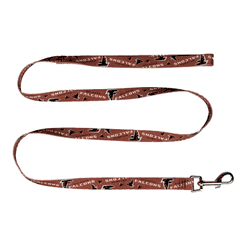 Atlanta Falcons Pet Team Lead .75 X 60