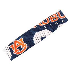 Auburn Tigers FanBand