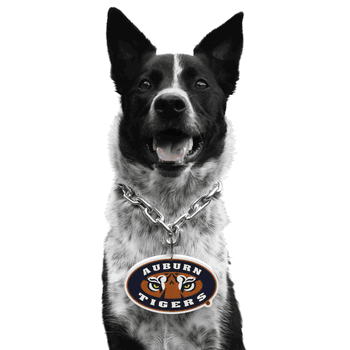 Auburn Tigers Pet Fan Chain