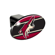 Automobile Accessories