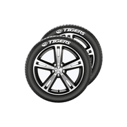 Automobile Accessories