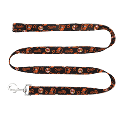 Baltimore Orioles Pet Team Lead  - Medium
