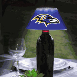 Baltimore Ravens Bottle Brite