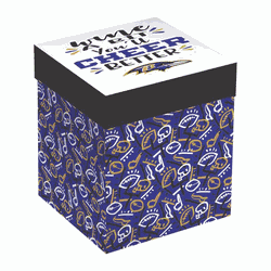 Baltimore Ravens Glass 17oz Wine Stemless Boxed