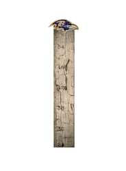 Baltimore Ravens Growth Chart Sign 6x36
