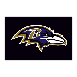 Baltimore Ravens HiDef Rookie Mat - 18in. X 30in.