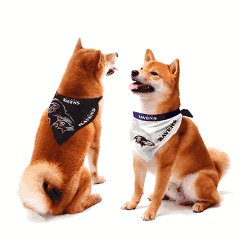 Baltimore Ravens Home and Away Pet Bandana Set Large