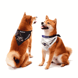 Baltimore Ravens Home and Away Pet Bandana Set Small