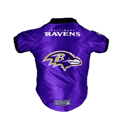 Baltimore Ravens Pet Premium Jersey Medium