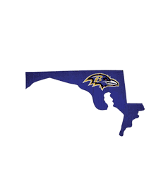 Baltimore Ravens Team Color Logo State Sign