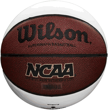 Basketball Wilson NCAA Official Size Autographable