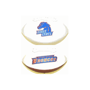 Bobbleheads & Collectibles