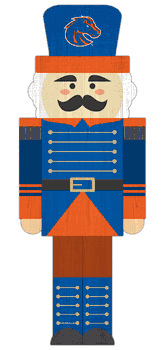 Boise State Broncos 31