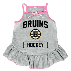 Boston Bruins Pet Dress Grey Type Small