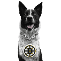 Boston Bruins Pet Fan Chain