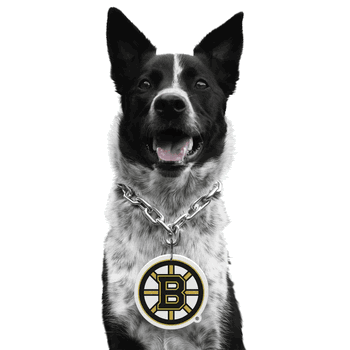 Boston Bruins Pet Fan Chain