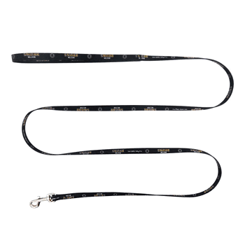 Boston Bruins Pet Team Lead .375 x 60