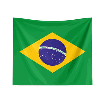 Brazil Flag Wall Hanging 34x40 inches