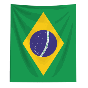 Brazil Flag Wall Hanging 50x60 inches