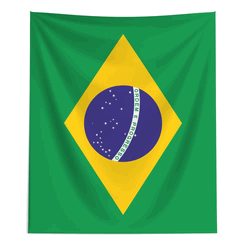 Brazil Flag Wall Hanging 50x60 inches