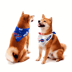 Buffalo Bills Home and Away Pet Bandana Set Large