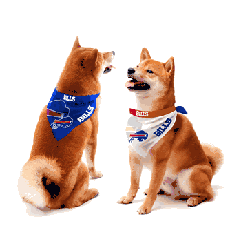 Buffalo Bills Home and Away Pet Bandana Set Large