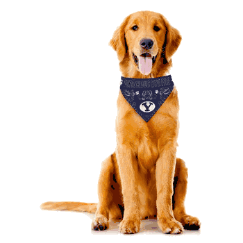 BYU Cougars Pet Bandana Large