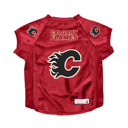 Calgary Flames Big Pet Stretch Jersey Big