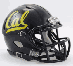 California Golden Bears