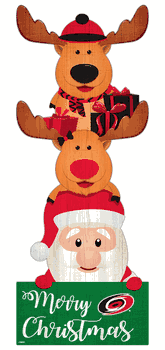 Carolina Hurricanes 31