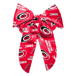 Carolina Hurricanes Big Bow