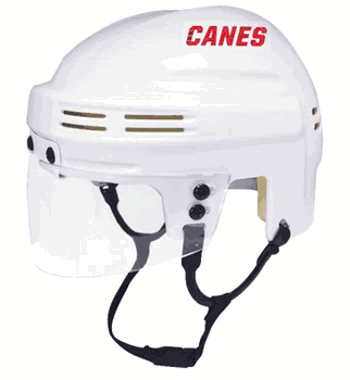 Carolina Hurricanes NHL Mini Helmet