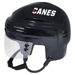 Carolina Hurricanes NHL Mini Helmet Team Color