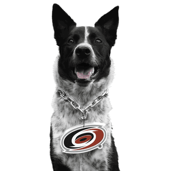 Carolina Hurricanes Pet Fan Chain