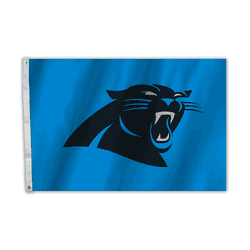 Carolina Panthers 2 Ft. X 3 Ft. Flag W/Grommetts