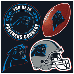 Carolina Panthers 4 Piece Magnet Set