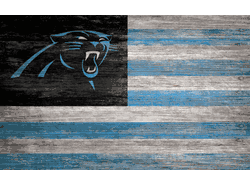 Carolina Panthers Distressed Flag 11x19